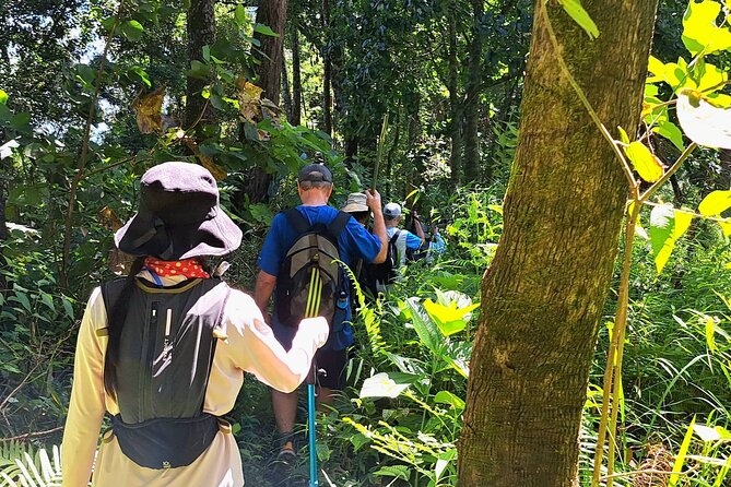 Full-Day Hike and Bike Tour from Chiang Mai - Afternoon Bike Ride to an Orchid Farm: Rural Roads and Real Variety