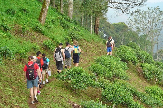 Full-Day Hike and Bike Tour from Chiang Mai - The 8:30 Start and 7-Hour Rhythm: How the Timing Actually Feels