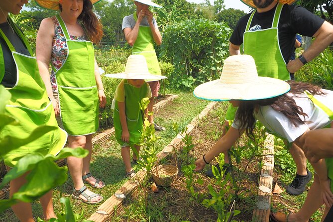 Full Day Thai Cooking at Farm (Chiang Mai) - Menu Choices, Vegan-Friendly Cooking, and Spice Control