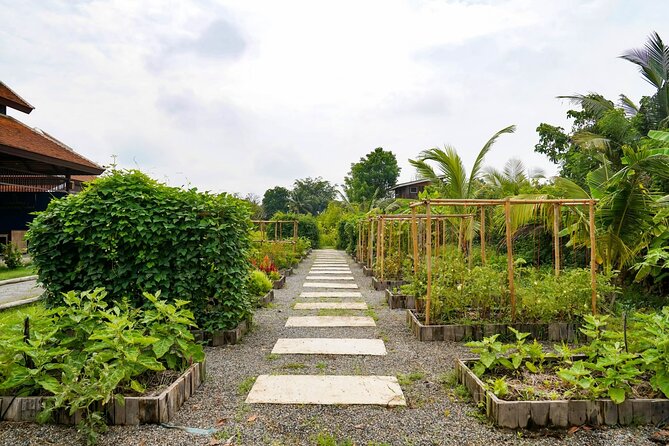 Full-Day Thai Cooking Class with Grandma - Market and Farm Tour - Who this experience suits best