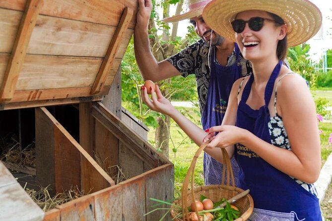 Full-Day Thai Cooking Class with Grandma - Market and Farm Tour - The farm tour in rice fields, herb gardens, and a mushroom hut