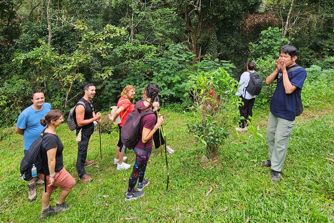 Full-Day Trekking and Sightseeing Tour in Mae Kampong - Getting Your Photos: Ancient Trees, Streams, and Forest Texture
