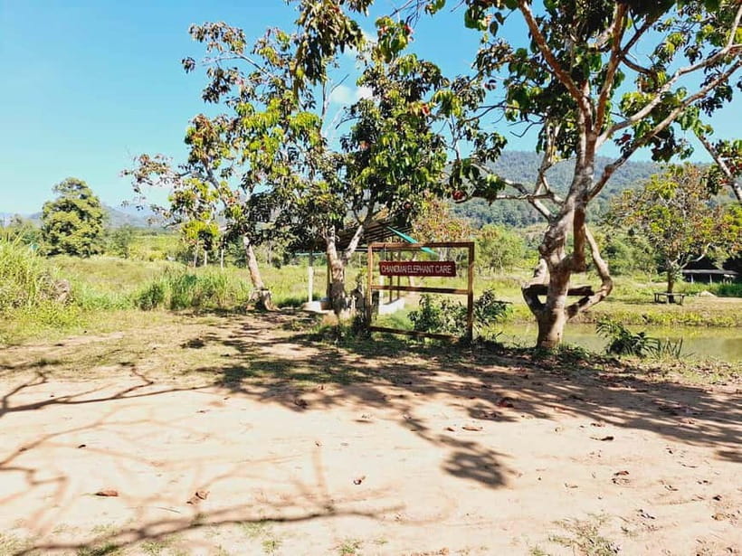 Full-day with CHIANGMAI ELEPHANT CARE and Sticky waterfall - What you get for $62: value, not just a price tag