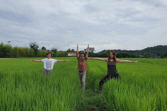 Full Day Yoga, Meditation, and Thai Cultural Immersion in Chiang Mai - Key highlights to look for