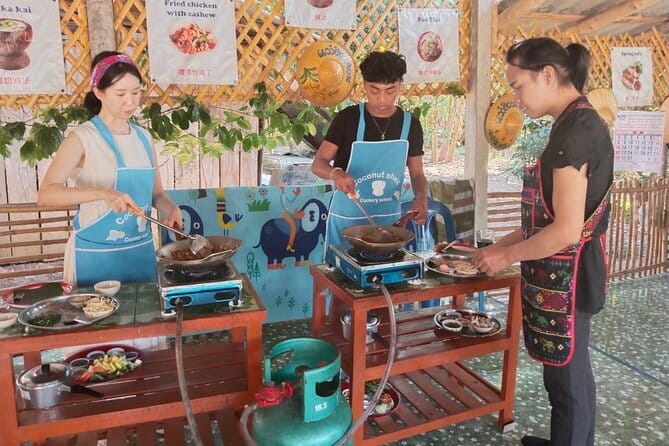 Half Day Chiang Mai Cooking Class and Market Taste Tour - Key highlights at a glance