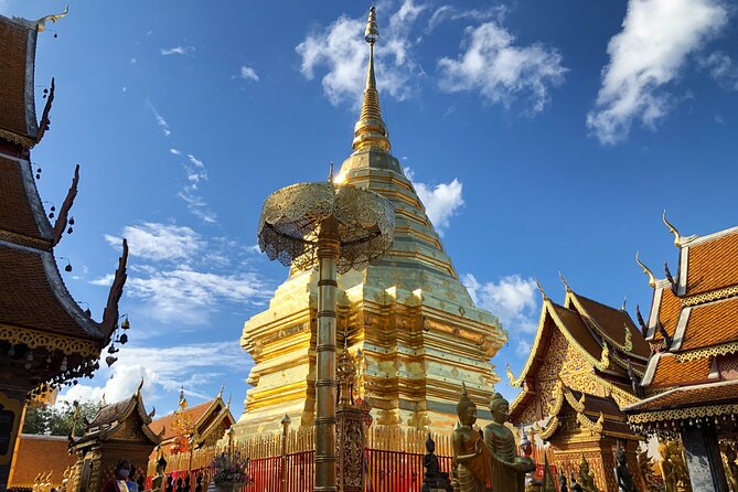Half Day Doi Suthep Temple and Palad Temple (Private tour) - Who This Tour Suits, and Who Should Consider Something Else