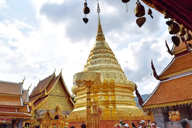 Half Day Doi Suthep Temple and Palad Temple (Private tour) - Should You Book This Private Temple Half-Day Tour?