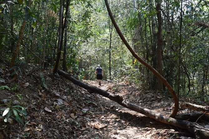 Half Day Doi Suthep Temple and short trekking on monk trail (Private Tour) - Wat Pha Lat: A softer temple atmosphere with waterfall and forest paths