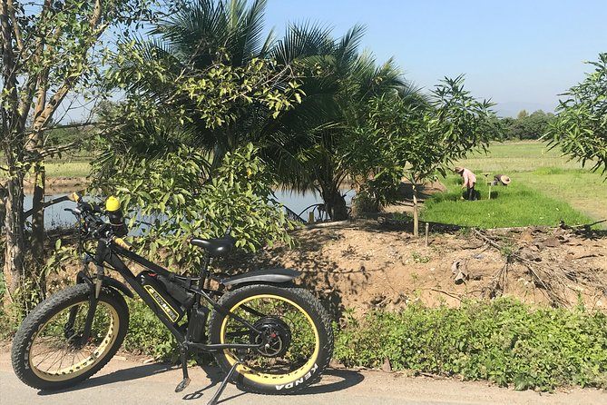 Half-day E-bike Countryside and rice paddies (flat land, GUIDED) - Stop 1: Wat Ton Kwen, a Lanna-style temple you approach slowly