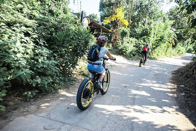 Half-day E-bike Countryside and rice paddies (flat land, GUIDED) - The Ping River area and temple ruins, why this part works