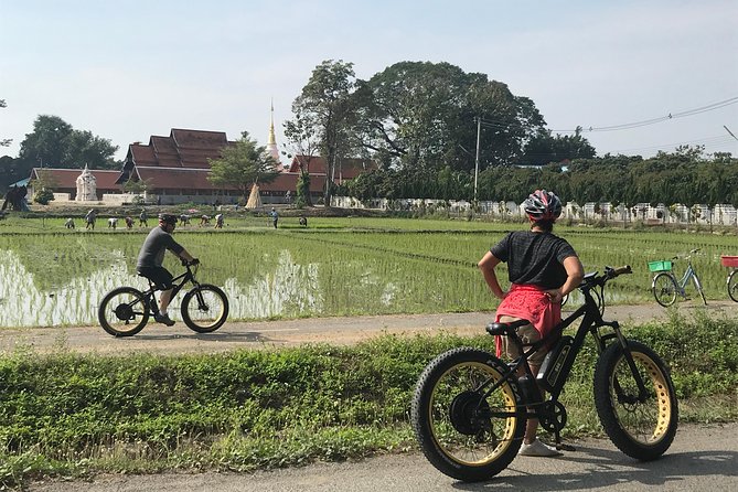Half-day E-bike Countryside and rice paddies (flat land, GUIDED) - What the included food and water feels like in real life