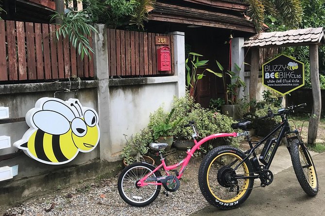 Half-day E-bike Countryside and rice paddies (flat land, GUIDED) - From pickup to helmet and bike fit, here is what to expect
