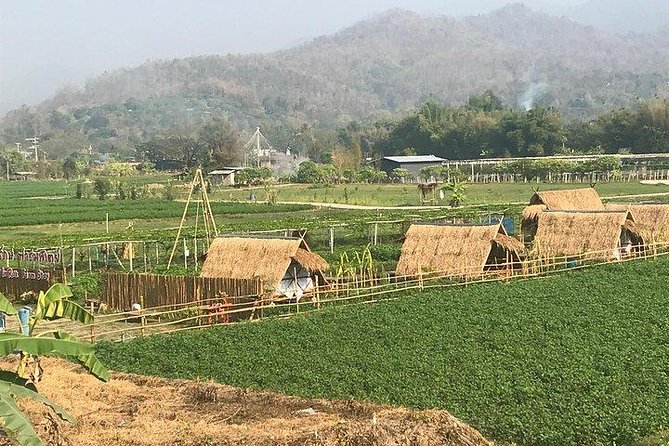 Half-day E-bike Nam Phrae (hilly, fully paved roads, GUIDED) - E-bike setup, gloves, helmets, and what to expect from the assist