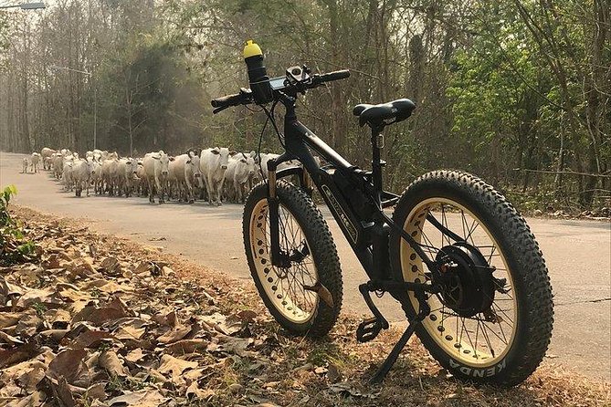 Half-day E-bike Nam Phrae (hilly, fully paved roads, GUIDED) - Who should book this Nam Phrae e-bike ride