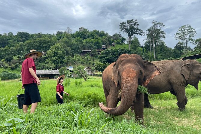Half-Day Elephant Experience at Rantong - The ride out to Mae Taeng District, and how to handle it