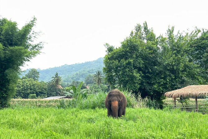 Half-Day Elephant Experience at Rantong - Changing into Mahout-style Karen clothes (and why it’s more than a costume)