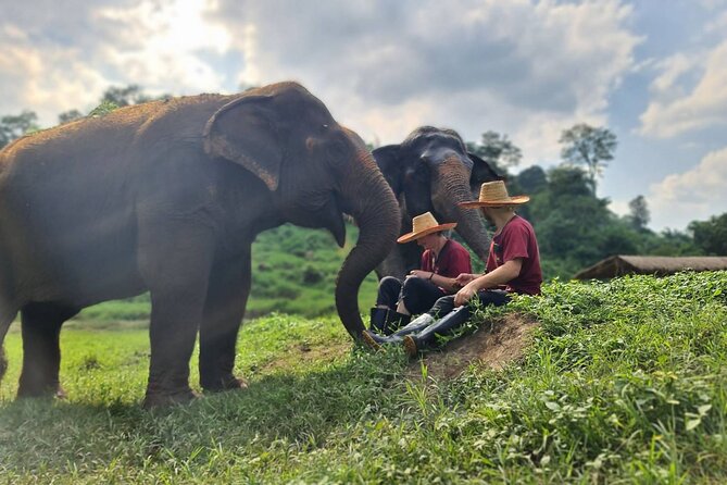 Half-Day Elephant Experience at Rantong - Lunch or dinner: Thai food, fruit, and real downtime