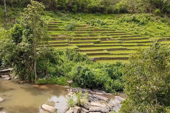 Half Day: Elephant Village Sanctuary - Forest Trekking With Local Keepers, What You Get Out of It