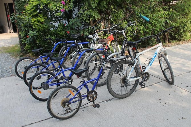 Half-Day Lanna Countryside Cycling Tour in Chiang Mai - The Grand Canyon Chiang Mai stop: short viewpoint time with one important caveat