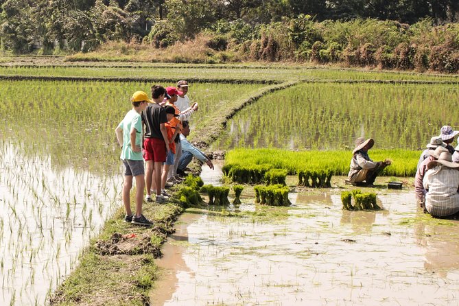 Half-Day Lanna Countryside Cycling Tour in Chiang Mai - Pedal power on the back roads: pace, terrain, and what you’ll actually see