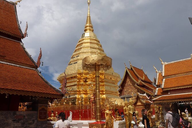 Half Day Morning Wat Pha Lat & Wat Phra That Doi Suthep Tour - Price and logistics: what $24 buys you, and what costs extra