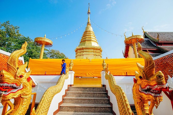 Half Day Phra That Doi Kham Temple and Royal Park Rajapruek (Private Tour) - Royal Park Rajapruek: plants from around the world, with an agricultural research angle