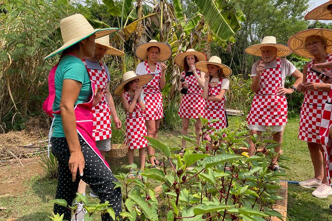 Half-Day Thai Cooking Class at Organic Farm in Chiang Mai - Quick take: what makes this cooking class in Chiang Mai work
