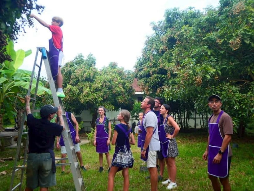 Half-Day Thai Cooking Class on a Local Farm Near Chiang Mai - Organic Farm Thai Cooking Near Chiang Mai: What You Actually Get