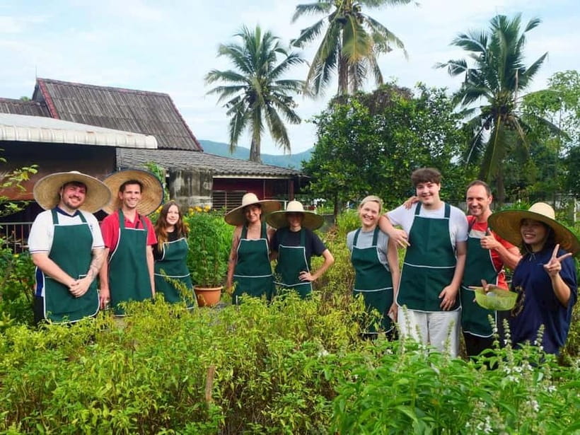 Half-Day Thai Cooking Class on a Local Farm Near Chiang Mai - Picking Longans or Mangoes From the Trees
