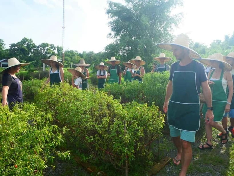 Half-Day Thai Cooking Class on a Local Farm Near Chiang Mai - What’s Included, and Why the Extras Matter