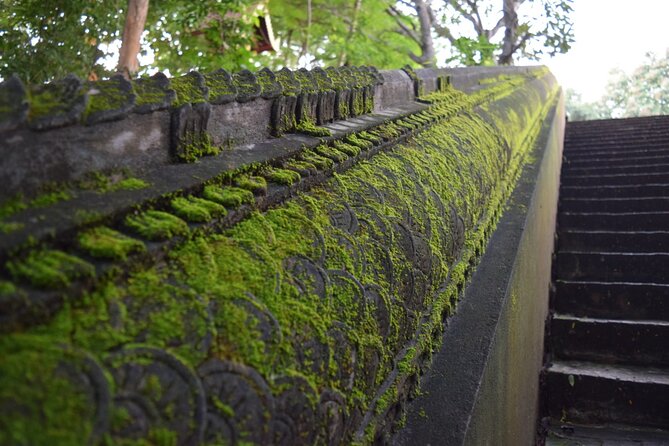 Half Day tour Suan Dok Temple, Umong temple & Doi Suthep Temple - The guide quality: what the best tours do with English explanations