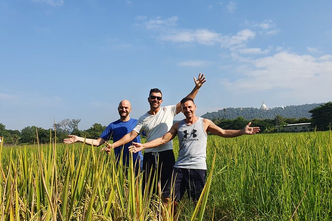 Half-Day Yoga, Meditation, and Thai Cultural Immersion in Chiang Mai - What You’re Really Buying: Mindfulness, Movement, and Thai Culture in One Block