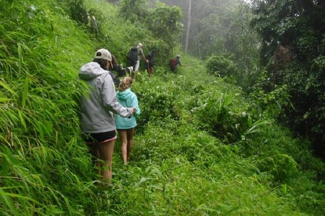 Hiking and Zipline Private Tour from Chiang Mai +Karen Village - A private Chiang Mai day with jungle views, zipline, and Karen culture