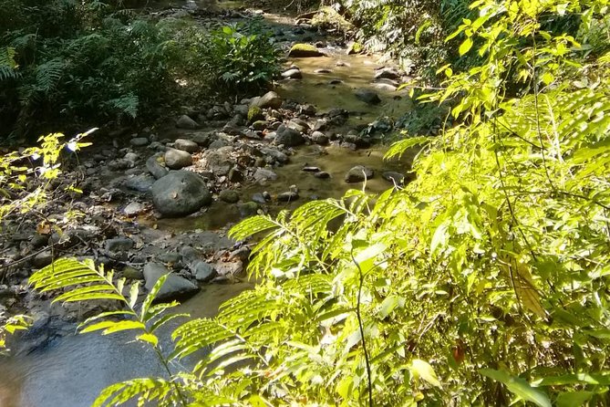 Hiking and Zipline Private Tour from Chiang Mai +Karen Village - Mae Sa Waterfall: relaxing and short hiking with a break built in