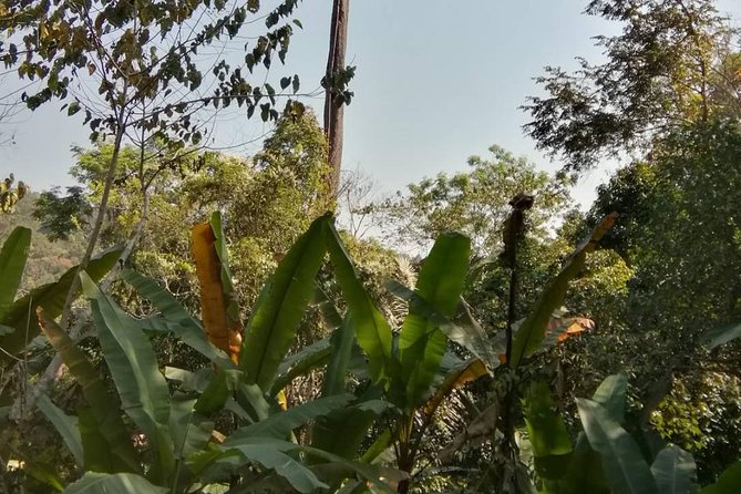 Hiking and Zipline Private Tour from Chiang Mai +Karen Village - Wildlife and what the tour is really promising
