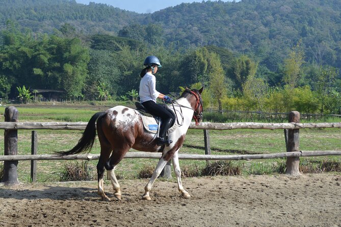 Horse Lesson+Riding+Wat Tonkwen wooden temple.Chiangmai - Key highlights you will feel right away