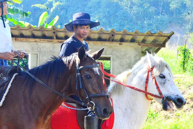 Horse Lesson+Riding+Wat Tonkwen wooden temple.Chiangmai - Hotel pickup at 8:30 and the door-to-door advantage