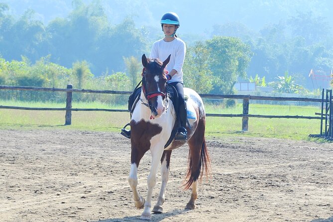 Horse Lesson+Riding+Wat Tonkwen wooden temple.Chiangmai - Lunch included: small comfort that changes the whole day