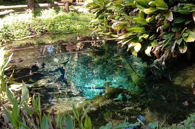 Hot! Doisuthep Temple+Wat Palad+Sticky waterfall - Wat Phra That Doi Suthep, Lanna Temple on the Hill