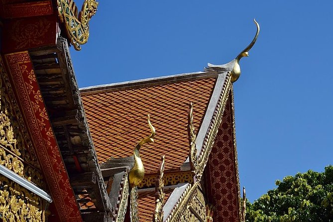 Hot! Doisuthep Temple+Wat Palad+Sticky waterfall - Bua Thong Sticky Waterfall, Limestone Friction in Motion