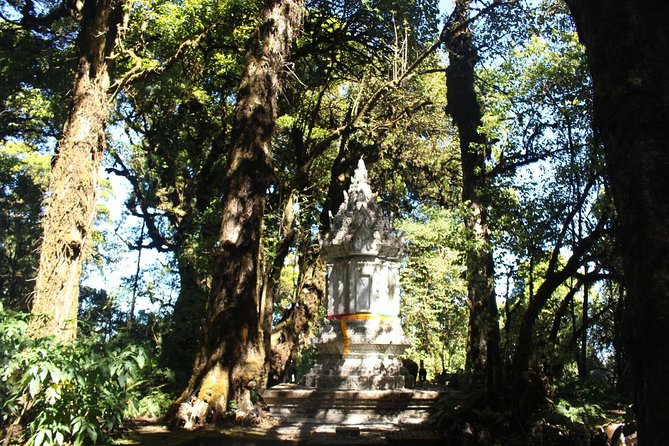 Inthanon Day Trip from Chiang Mai with Lunch - Group or Private - Stop-by-stop: Doi Inthanon National Park, Ang Ka Trail, and the Twin Pagodas