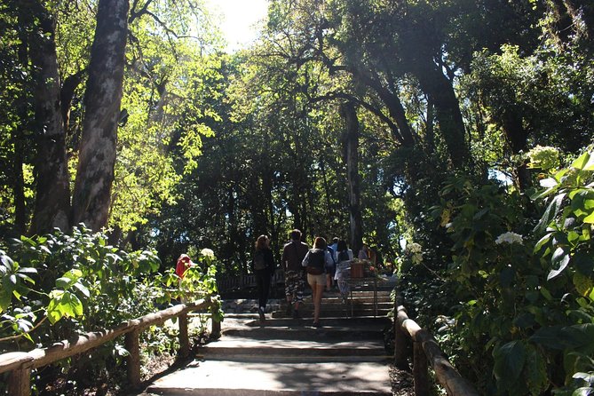 Inthanon Day Trip from Chiang Mai with Lunch - Group or Private - Wachirathan Falls: the best timing is flexible, so go with the flow