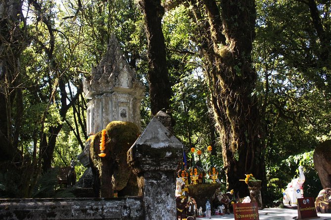 Inthanon Day Trip from Chiang Mai with Lunch - Group or Private - Lunch, water, and the food reality (including vegetarian)