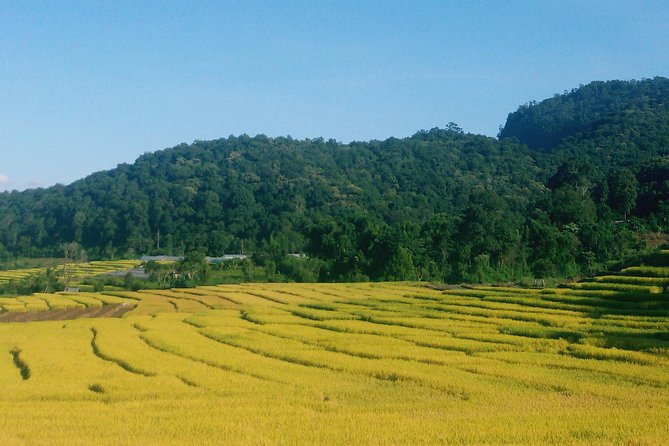 Inthanon Day Trip from Chiang Mai with Lunch - Group or Private - Price and value: what you are actually paying for