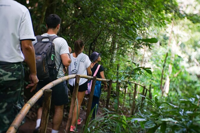 Inthanon National Park Tour with Soft Hike at Pha Dok Siew Trail - Pha Dok Siew Natural Trail: The Soft Hike That Sets the Tone