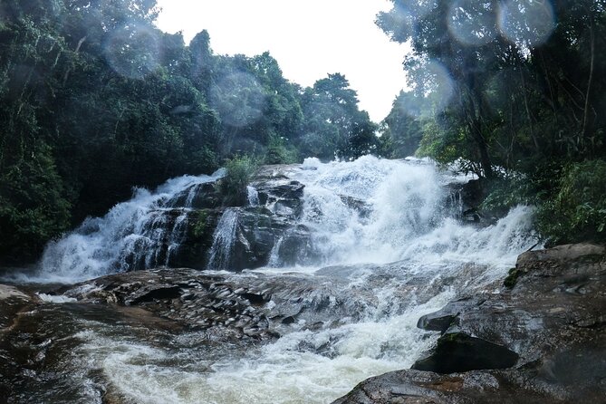 Inthanon National Park Tour with Soft Hike at Pha Dok Siew Trail - Hmong Market and Royal Project Lunch: Food and Local Produce