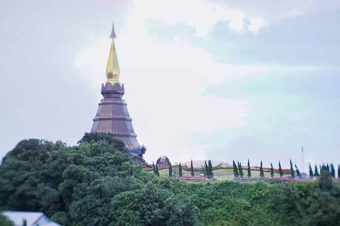Inthanon National Park Tour with Soft Hike at Pha Dok Siew Trail - Pha Dok Seaw Waterfall Hike: Jungle Walk and Rice Terrace Views