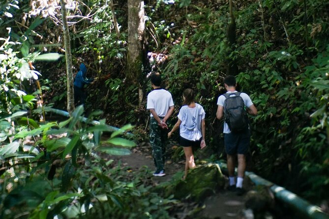 Inthanon National Park Tour with Soft Hike at Pha Dok Siew Trail - Ban Mae Klang Luang Karen Village and Fresh Coffee