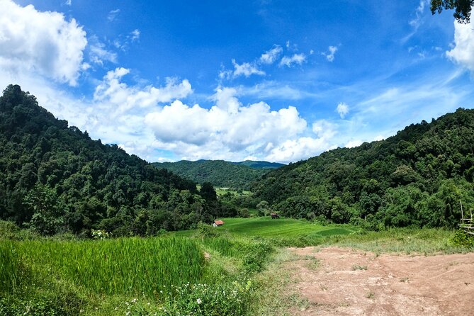 Inthanon National Park Tour with Soft Hike at Pha Dok Siew Trail - Price and Value: What $107.42 Gets You