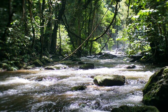 Inthanon National Park Tour with Soft Hike at Pha Dok Siew Trail - Weather, Fitness, and How to Set Your Expectations